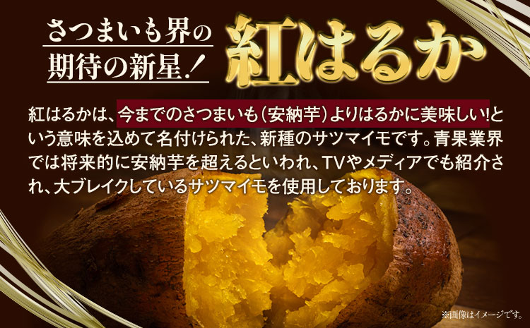 焼き芋のテリーヌ 60g×8個 合同会社いたふ 《30日以内に順次出荷(土日