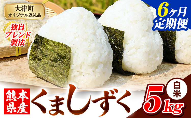 【6ヶ月定期便】白米 熊本県産 ブレンド米 くましずく 5kg 熊本県産 ふるさと納税 白米 精米 米 こめ ふるさとのうぜい コメ お米 おこめ《お申込み翌月から出荷》