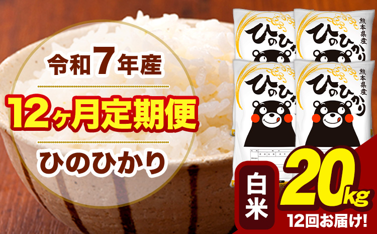 令和7年産 【12ヶ月定期便】 白米 米 ひのひかり 20kg《お申込み翌月から出荷》熊本県 大津町 国産 熊本県産 白米 送料無料 ヒノヒカリ こめ お米