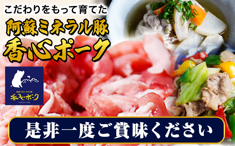 香心ポーク 香心ポーク切り落とし 約4kg 有限会社コーシン《30日以内に出荷予定(土日祝除く)》 熊本 大津町 切り落とし 豚肉 豚