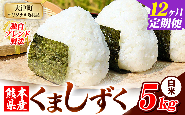 【12ヶ月定期便】白米 熊本県産 ブレンド米 くましずく 5kg 熊本県産 ふるさと納税 白米 精米 米 こめ ふるさとのうぜい コメ お米 おこめ《お申込み翌月から出荷》