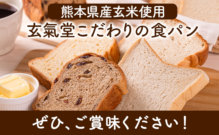 玄米80食パン2斤+ブレッドハーフ2個セット 玄氣堂《60日以内に出荷予定(土日祝除く)》 熊本県 菊池郡 大津町 食パン パン ブレッドハーフ 玄米 玄米パン 冷凍便