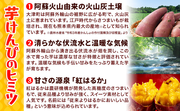 カリッカリ 紅はるかの芋けんぴ 250g 1袋250g 熊本県大津町産 無添加《30日以内に出荷予定(土日祝を除く)》薩摩芋 さつまいも サツマイモ イモケンピ 保存料・着色料 不使用 小分け