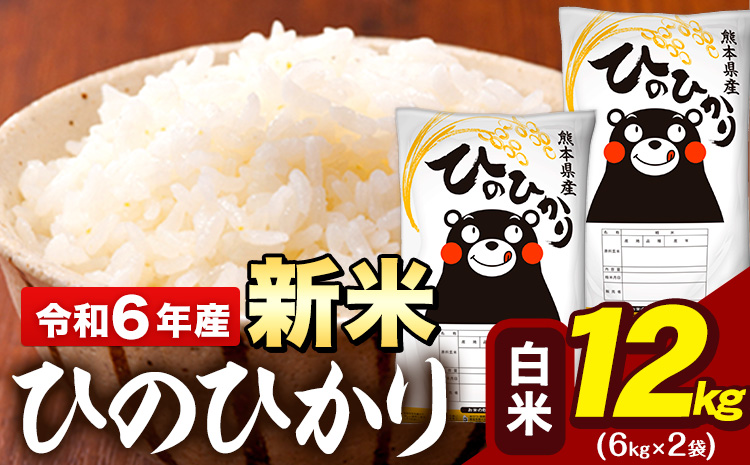 新米 令和6年産 早期先行予約受付中 白米 米 ひのひかり 12kg (6kg袋×2)《11月-12月頃出荷予定》熊本県 大津町 国産 熊本県産 白米 精米 送料無料 ヒノヒカリ こめ お米