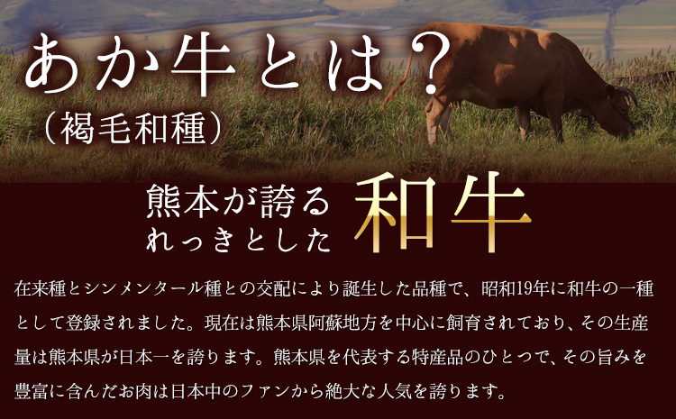 あか牛 ヒレ ステーキ 450g (150g x3) 熊本県産 和牛 肉 《90日以内に出荷予定(土日祝除く)》 冷凍庫 個別 取分け 小分け 個包装 ステーキ肉 あかうし 赤牛 あか牛丼 にも 国産 フィレ 牛ヒレ 牛ヒレステーキ 赤身