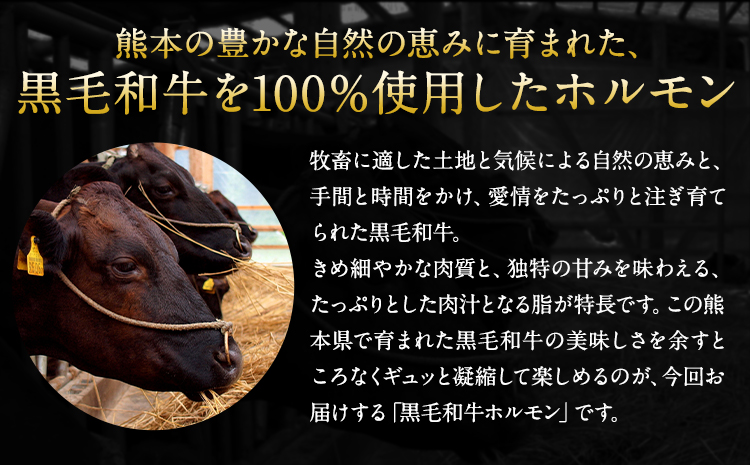 黒毛和牛ホルモン800g(200g×4袋) ブランド牛 有限会社トップルーフ《60日以内に出荷予定(土日祝除く)》