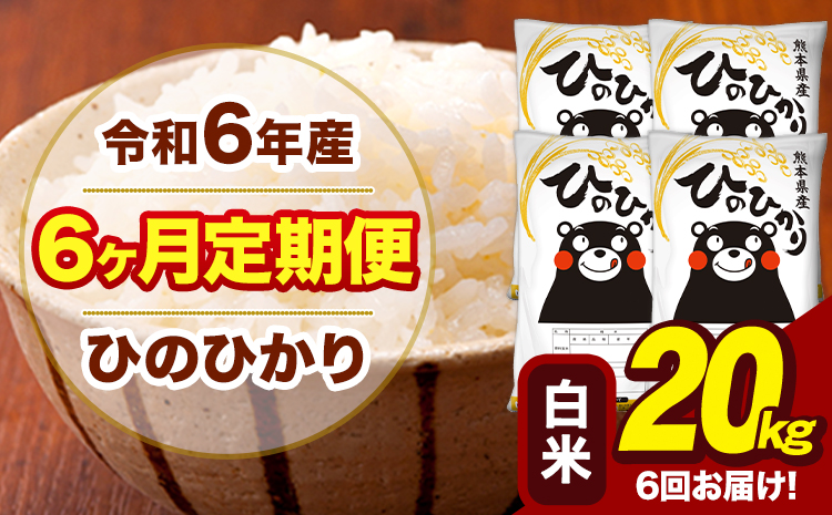 令和6年産 【6ヶ月定期便】白米 米 ひのひかり 20kg《お申し込み月の翌月から出荷開始》熊本県 大津町 国産 熊本県産 白米 送料無料 ヒノヒカリ こめ お米