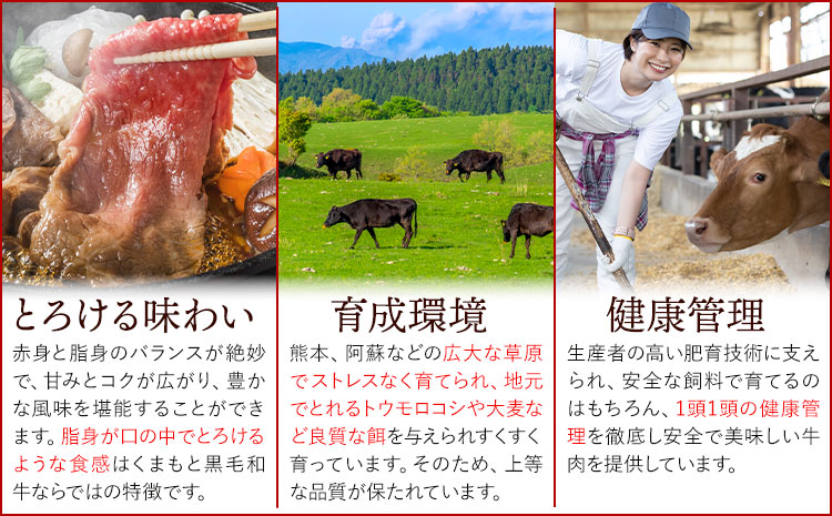 訳あり くまもと黒毛和牛 切り落とし 1.5kg(500ｇ×3ｐ）《30日以内に出荷予定(土日祝除く)》熊本県 大津町 黒毛和牛 肉 お肉 和牛 A5 A4 小分け