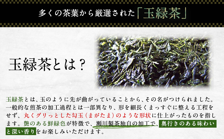 水出し緑茶 ティーバッグ たっぷり7袋セット 熊本県 大津町産 株式会社 瀬川製茶《60日以内に出荷予定(土日祝除く)》