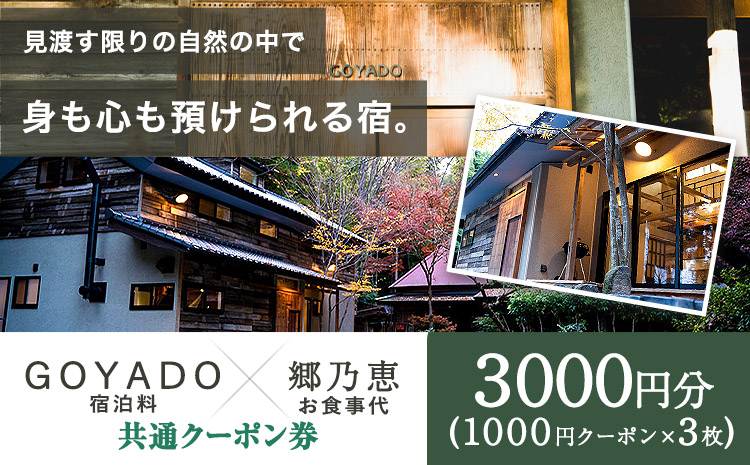 GOYADO 郷乃恵 共通クーポン券 3000円分(1000円クーポン3枚綴り) 渡辺商店 《30日以内に出荷予定(土日祝除く)》 熊本県 大津町 宿泊 お食事 利用券 クーポン券