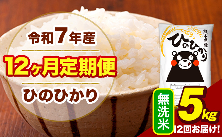 令和7年産 【12ヶ月定期便】 無洗米 米 ひのひかり 5kg《お申込み翌月から出荷》熊本県 大津町 国産 熊本県産 無洗米 送料無料 ヒノヒカリ こめ お米