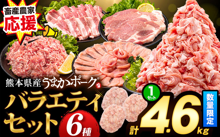 数量限定★生産者応援★ 豚肉 小分け バラエティ セット うまか ポーク しゃぶしゃぶ 切り落とし 豚ロース バラ 豚バラ 豚バラ肉 スライス 4.6kg 4600g 4kg 以上 真空 お楽しみセット 不揃い 数量限定 簡易包装 冷凍配送 1セット《30日以内に出荷予定(土日祝除く)》