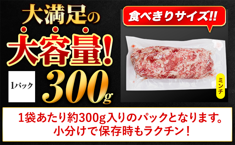 【3ヶ月定期便】 ミンチ 5.4kg 豚 小分け 訳あり 訳有 ひき肉 うまかポーク 傷 規格外 ぶた肉 ぶた 真空パック  簡易包装 冷凍 《申込み翌月から発送》