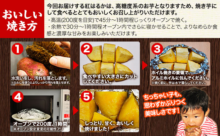 さつまいも 芋 なかせ農園 蔵出し ベニーモ 約 5kg (大中小サイズ不揃い)《1-5日以内に出荷予定(土日祝除く)》 さつま いも さつま芋 芋 紅 はるか スイート ポテト 干し芋にも 特産品 SDGs 中瀬農園