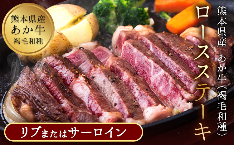 ããçïŒè€æ¯åçš®ïŒããŒã¹ã¹ããŒã (ãªããŸãã¯ãµãŒãã€ã³) 250gÃ2 500g çæ¬çç£ è åç çè èµ€ç ãããã ãªãããŒã¹ ãµãŒãã€ã³ å·å ã2026幎1æäžæ¬-3ææ«é åºè·ã éæç¡æ