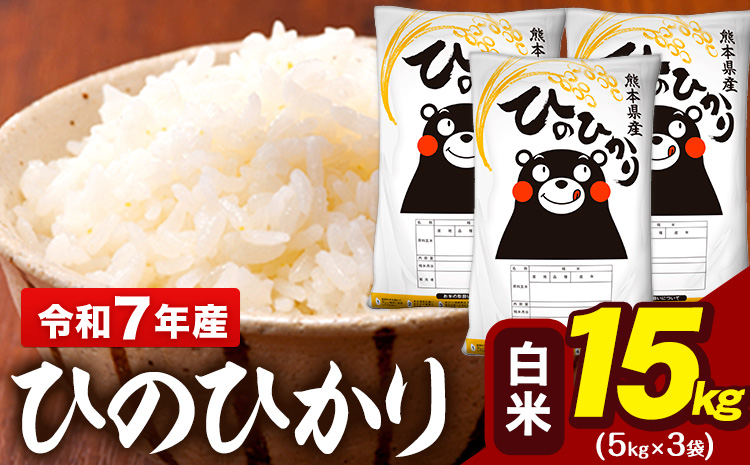 令和7年産 白米 米 ひのひかり 15kg (5kg袋×3)《7-14日以内に出荷予定(土日祝除く)》熊本県 大津町 国産 熊本県産 白米 精米 送料無料 ヒノヒカリ こめ お米