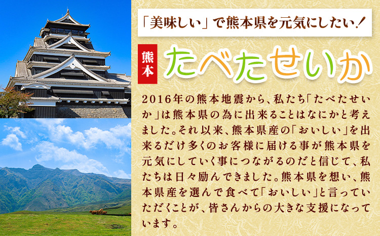 【3ヶ月定期便】あか牛 サーロイン肉 1kg・馬刺し 200g 食べ比べセット 計3.6kg 合同会社たべたせいか《お申し込みの翌月から出荷》牛肉 和牛 ステーキ用サーロイン肉 サーロイン 馬肉 赤身 霜降り たてがみ 馬刺し 熊本県産 送料無料