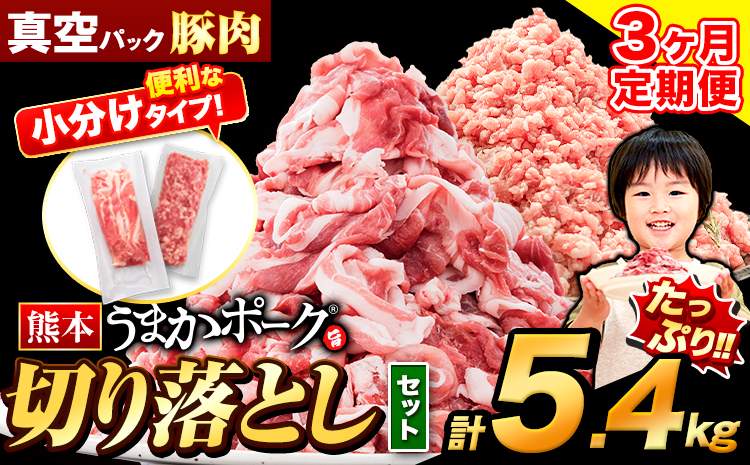 【3ヶ月定期便】 豚肉 切り落とし ＆ ミンチ ハーフセット 5.4kg 豚 細切れ こま切れ 豚こま 豚小間切れ 豚しゃぶ 小分け 訳あり 訳有 ひき肉 うまかポーク 傷 規格外 ぶた肉 ぶた 真空パック 数量限定 簡易包装 冷凍 《申し込み翌月から発送》