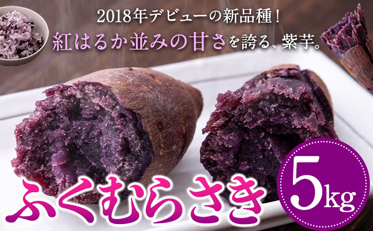 熊本県大津町産 ふくむらさき 5kg《2026年1月上旬-5月末頃出荷》 タカハマ観光農園 さつまいも 芋 紫芋 高糖度