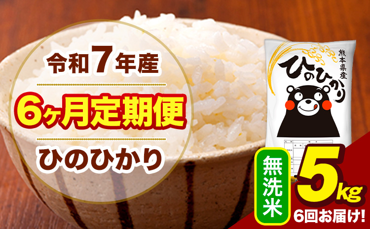 令和7年産 【6ヶ月定期便】 無洗米 米 ひのひかり 5kg《お申込み翌月から出荷》熊本県 大津町 国産 熊本県産 無洗米 送料無料 ヒノヒカリ こめ お米