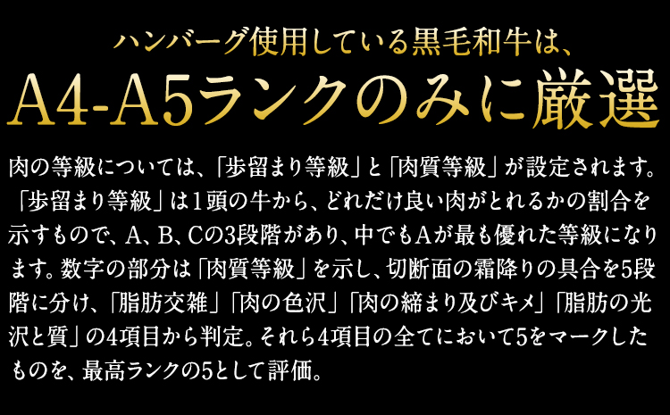 黒毛和牛漬け込みホルモン・ハンバーグセット（計7袋） 絶品 ブランド牛 黒毛和種 有限会社トップルーフ《60日以内に出荷予定(土日祝除く)》