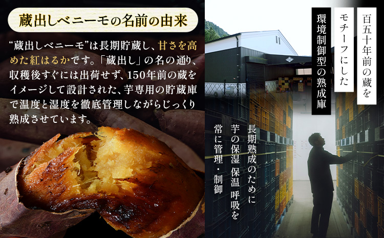 さつまいも 芋 熊本 県 大津 町産 なかせ農園 蔵出しベニーモ 選べる 約 1.5kg (大中小サイズ不揃い)《1-5日以内に出荷予定(土日祝除く)》 さつま いも さつま芋 芋 紅 はるか スイート ポテト 干し芋にも 特産品 SDGs 中瀬農園