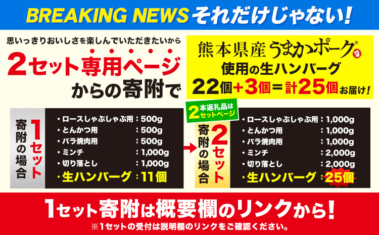 数量限定★生産者応援★ 豚肉 小分け バラエティ セット うまか ポーク しゃぶしゃぶ 切り落とし 豚ロース バラ 豚バラ 豚バラ肉 スライス 計 9.5kg 4.6kg × 2セット ＋ 300g 9kg 以上 真空 お楽しみセット 不揃い 数量限定 簡易包装 冷凍配送 《30日以内に出荷予定(土日祝除く)》