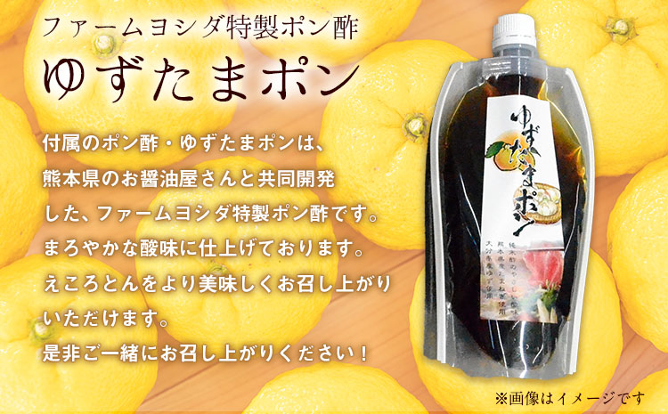 えころとん・豚肉4種(計1050g)　ゆずたましゃぶセット 熊本県産 有限会社ファームヨシダ　《60日以内に出荷予定(土日祝除く)》