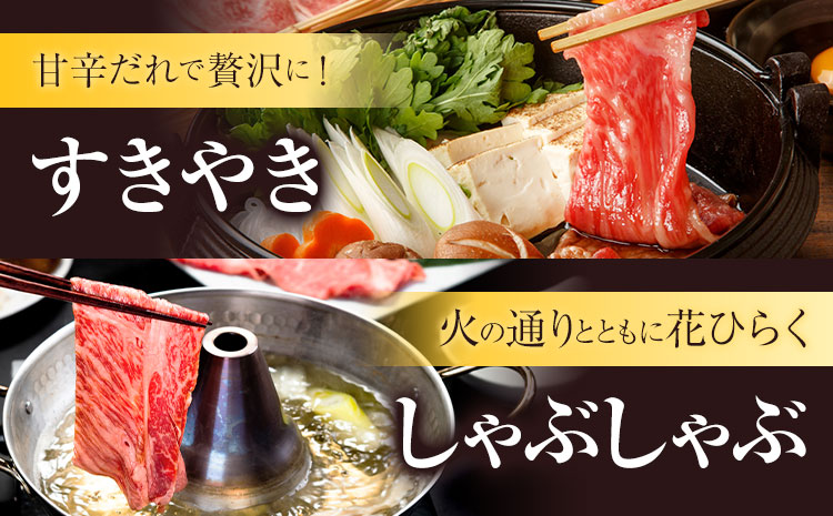【6ヶ月定期便】あか牛 すきやき・しゃぶしゃぶ用 サーロイン肉1kg・馬刺し200g 食べ比べセット 計7.2kg 合同会社たべたせいか《お申し込みの翌月から出荷》牛肉 和牛 馬刺し セット 熊本県産 送料無料
