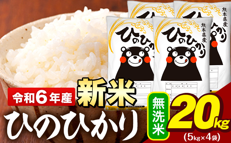 新米 令和6年産 早期先行予約受付中 無洗米 米 ひのひかり 20kg (5kg袋×4)《11月-12月頃出荷予定》熊本県 大津町 国産 熊本県産 無洗米 精米 送料無料 ヒノヒカリ こめ お米