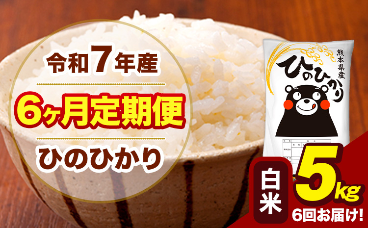 令和7年産 【6ヶ月定期便】 白米 米 ひのひかり 5kg《お申込み翌月から出荷》熊本県 大津町 国産 熊本県産 白米 送料無料 ヒノヒカリ こめ お米