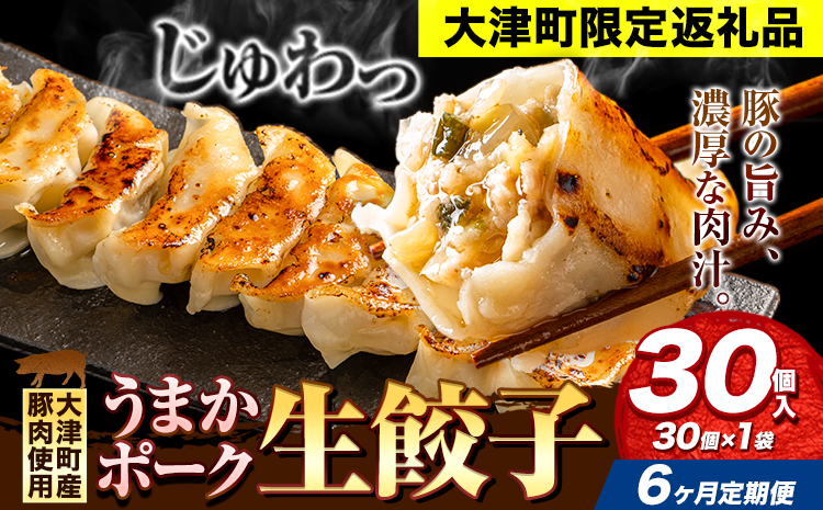 餃子 うまかポーク生餃子 30個 【6ヶ月定期便】タレ付き 大津町限定返礼品 冷凍餃子 ギョウザ《お申込み月の翌月から発送開始》大津町産豚肉使用 九州産キャベツ使用（大津町産含む）皮モチモチ 肉汁溢れる ぎょうざ （30個×1袋）