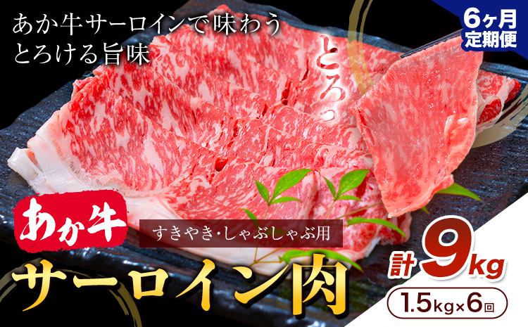 【6ヶ月定期便】あか牛 すきやき・しゃぶしゃぶ用 サーロイン肉 合計9kg 1回 500g×3パック 合同会社たべたせいか《お申し込みの翌月から出荷》赤牛 牛肉 肉 お肉 すきやき すき焼き しゃぶしゃぶ サーロイン 熊本県産 大津市 送料無料