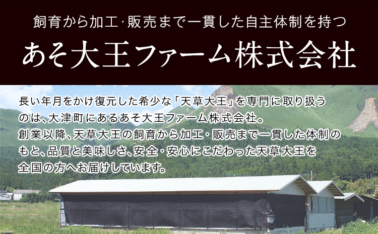 天草大王　バーベキュー用カット肉　熊本県産 【幻の地鶏】あそ大王ファーム株式会社　《60日以内に出荷予定(土日祝除く)》