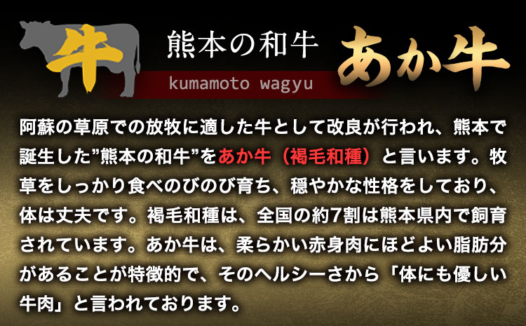 あか牛 赤身ステーキ用 1kg (250g×4) 有限会社幸路《60日以内に出荷予定(土日祝除く)》 あか牛 あかうし 赤牛 赤身 冷凍 小分けパック