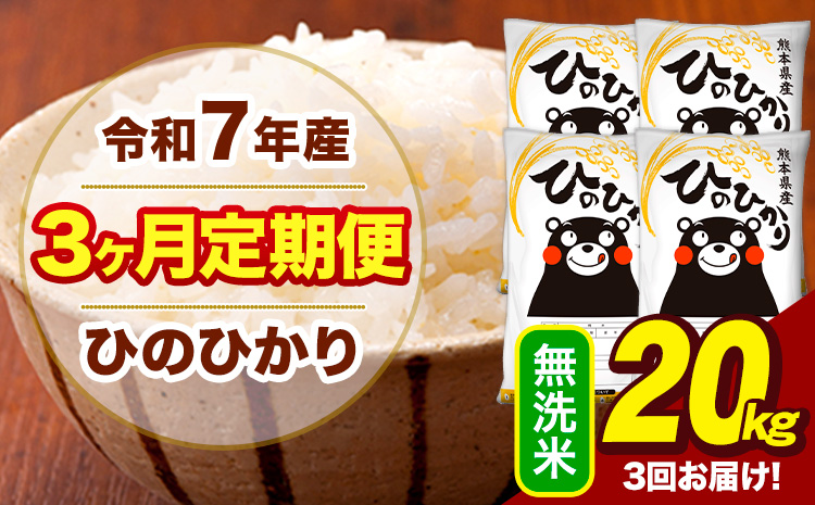 令和7年産 【3ヶ月定期便】 無洗米 米 ひのひかり 20kg《お申込み翌月から出荷》熊本県 大津町 国産 熊本県産 無洗米 送料無料 ヒノヒカリ こめ お米