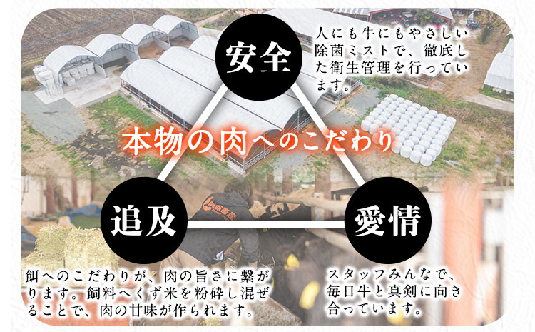 厳選 黒毛和牛 すき焼き用 霜降りロース800g(400g×2) 《30日以内に出荷予定(土日祝除く)》 熊本県 大津町 和牛焼肉LIEBE 黒毛和牛 リブロース 肩ロース すき焼き 冷蔵