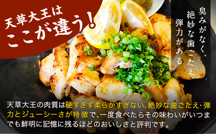 天草大王 ヘルシーセット (加熱用) 2kg むね肉 ささみ 熊本県産 あそ大王ファーム株式会社　《60日以内に出荷予定(土日祝除く)》