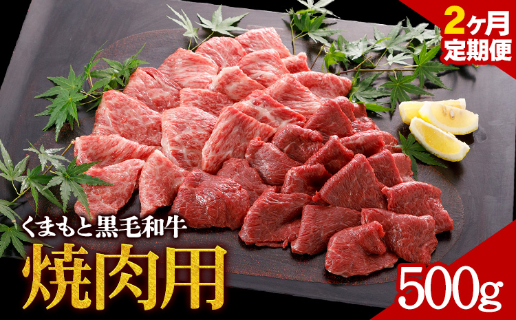 【2ヶ月定期便】牛肉 くまもと黒毛和牛 焼肉用 500g 定期便 2回 株式会社KAM Brewing《お申込み月の翌月から出荷開始》