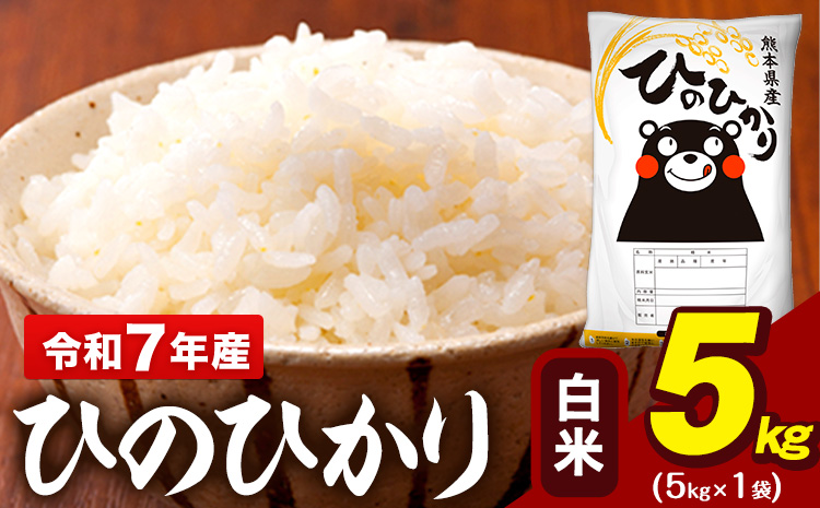 令和7年産 白米 米 ひのひかり 5kg《7-14日以内に出荷予定(土日祝除く)》熊本県 大津町 国産 熊本県産 白米 精米 送料無料 ヒノヒカリ こめ お米