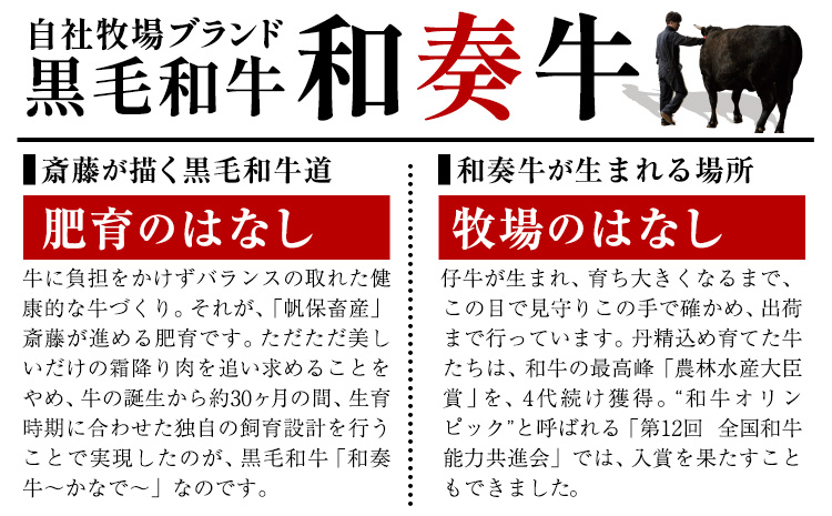 厳選 くまもと黒毛和牛 焼肉用食べ比べ4種 500g《30日以内に出荷予定(土日祝除く)》熊本県 大津町 和牛焼肉LIEBE くまもと黒毛和牛 厳選部位 上ロース ハラミ サガリ シンシン 冷蔵 リーベ