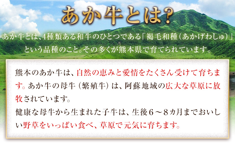 ããŒã¹ãããŒã çè ããã㯠赀身 ããç éæç¡æ ã30æ¥ä»¥å
ã«åºè·äºå®(忥ç¥é€ã)ãçæ¬çç£ çæ¬ åœç£ç 500g ããŒã¹ãããŒã䞌 çè ãµã³ãã€ãã çè åœç£ç ããç ããŒã¹ãããŒã