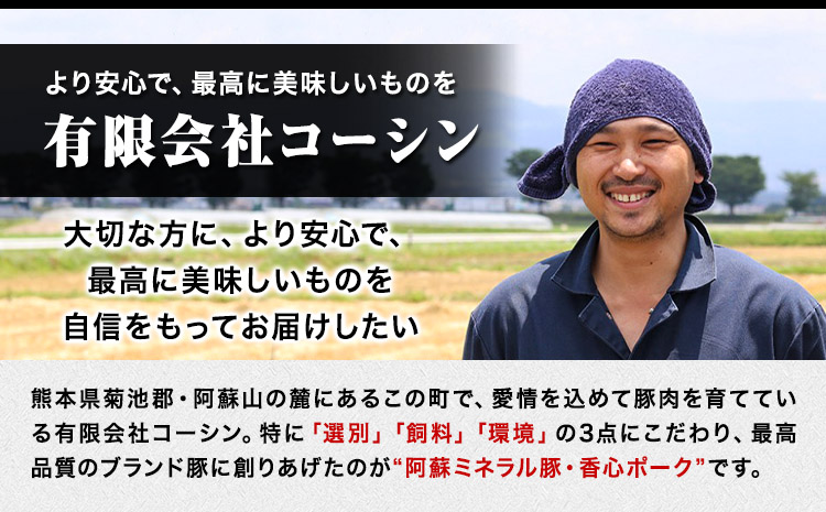 香心ポーク しゃぶすき焼き用もも肉 約750g 有限会社コーシン《30日以内に出荷予定(土日祝除く)》 熊本 大津町 もも肉 豚肉 豚 しゃぶしゃぶ すき焼き