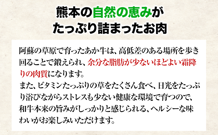 肥後のあか牛 焼き肉用 1000g 株式会社KAM Brewing《90日以内に出荷予定(土日祝除く)》 熊本県産 熊本県大津町