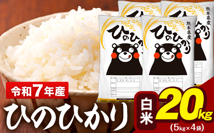 令和7年産 白米 米 ひのひかり 20kg (5kg袋×4)《7-14日以内に出荷予定(土日祝除く)》熊本県 大津町 国産 熊本県産 白米 精米 送料無料 ヒノヒカリ こめ お米