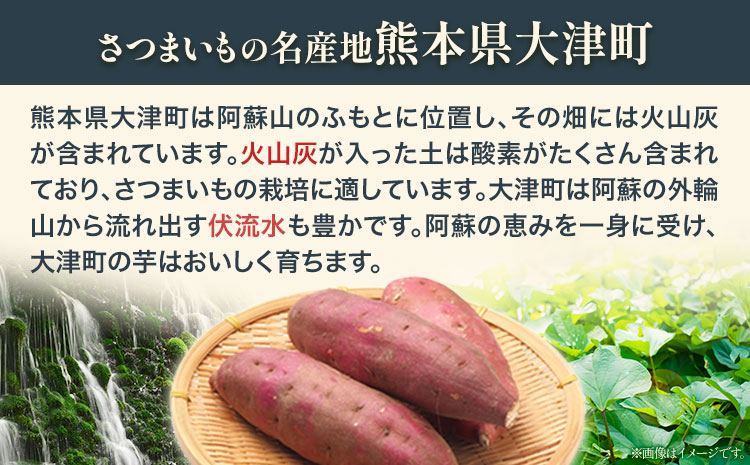 焼き芋のテリーヌ 60g×8個 合同会社いたふ 《30日以内に順次出荷(土日