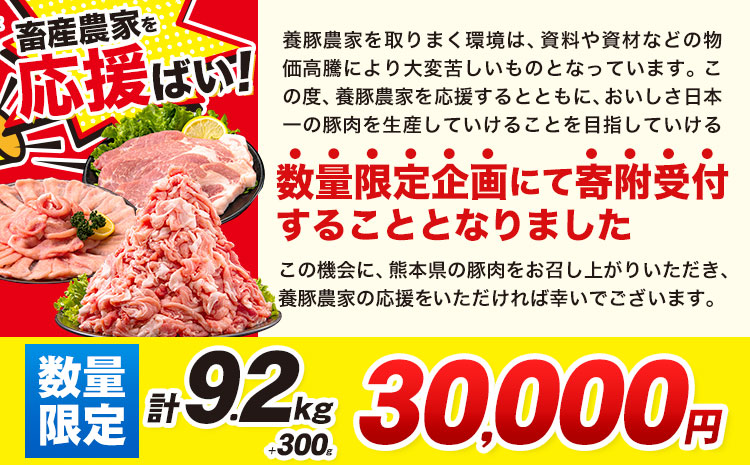 数量限定★生産者応援★ 豚肉 小分け バラエティ セット うまか ポーク しゃぶしゃぶ 切り落とし 豚ロース バラ 豚バラ 豚バラ肉 スライス 計 9.5kg 4.6kg × 2セット ＋ 300g 9kg 以上 真空 お楽しみセット 不揃い 数量限定 簡易包装 冷凍配送 《30日以内に出荷予定(土日祝除く)》