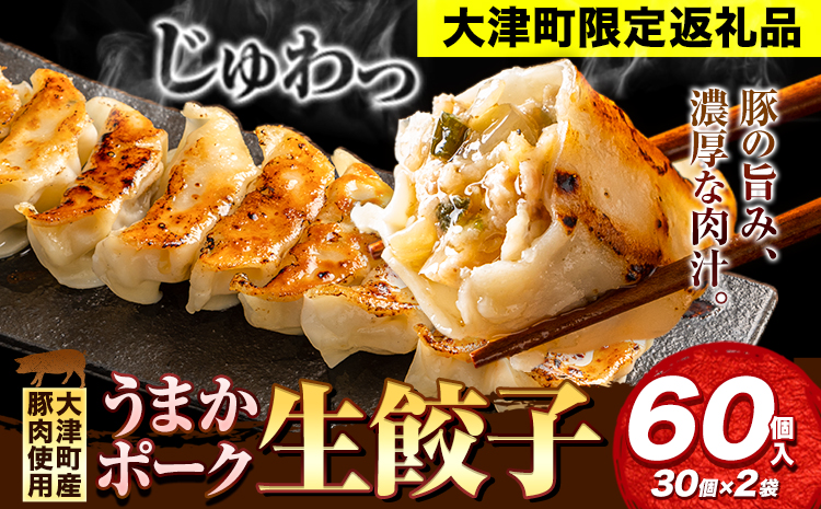 餃子 うまかポーク生餃子 60個 タレ付き 大津町限定返礼品 冷凍餃子 ギョウザ《30日以内に出荷予定(土日祝除く)》大津町産豚肉使用 九州産キャベツ使用（大津町産含む）皮モチモチ 肉汁溢れる ぎょうざ （30個×2袋）