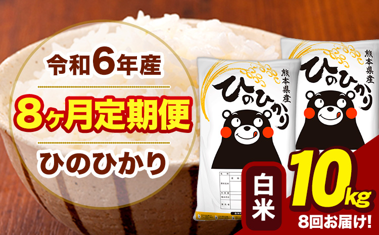 令和6年産 【8ヶ月定期便】白米 米 ひのひかり 10kg《お申し込み月の翌月から出荷開始》熊本県 大津町 国産 熊本県産 白米 送料無料 ヒノヒカリ こめ お米