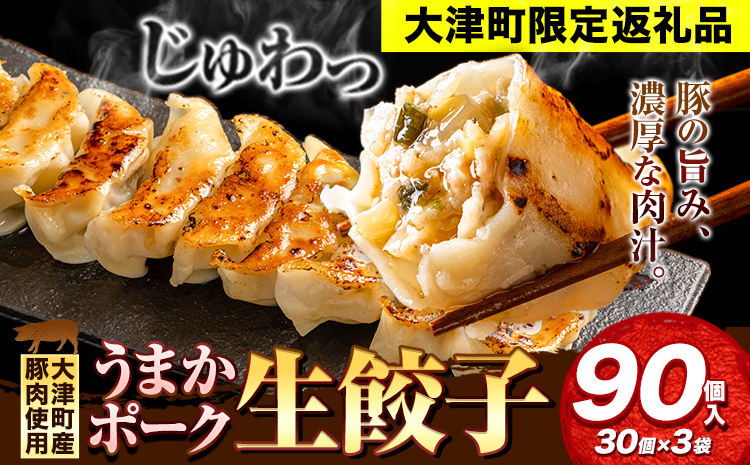 餃子 うまかポーク生餃子 90個 タレ付き 大津町限定返礼品 冷凍餃子 ギョウザ《30日以内に出荷予定(土日祝除く)》大津町産豚肉使用 九州産キャベツ使用（大津町産含む）皮モチモチ 肉汁溢れる ぎょうざ （30個×3袋）